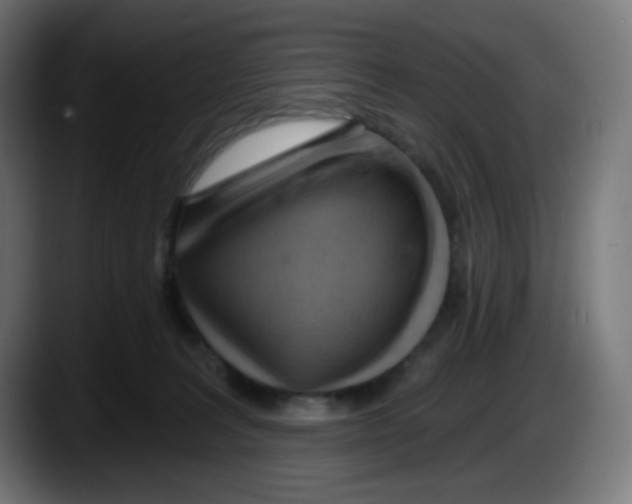 X0000087550227200705251746