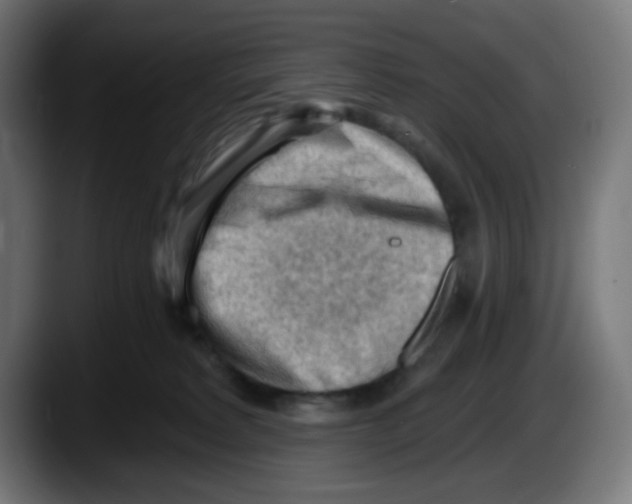 X0000087550229200705251746