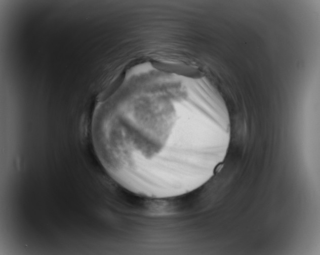 X0000087550230200705251746