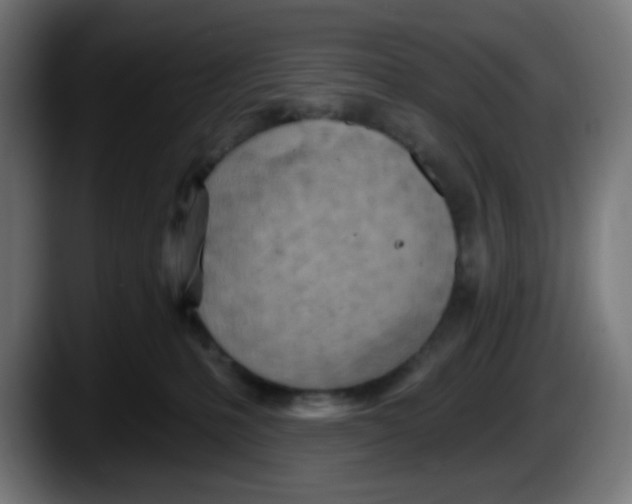 X0000087550231200705251746