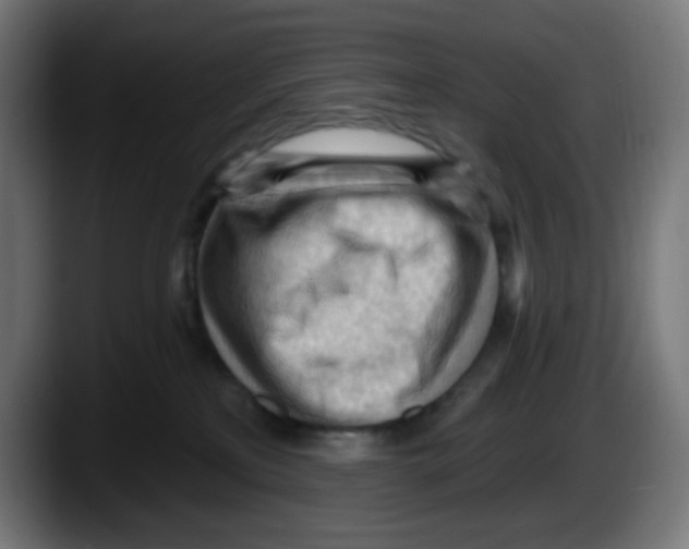 X0000087550233200705251746