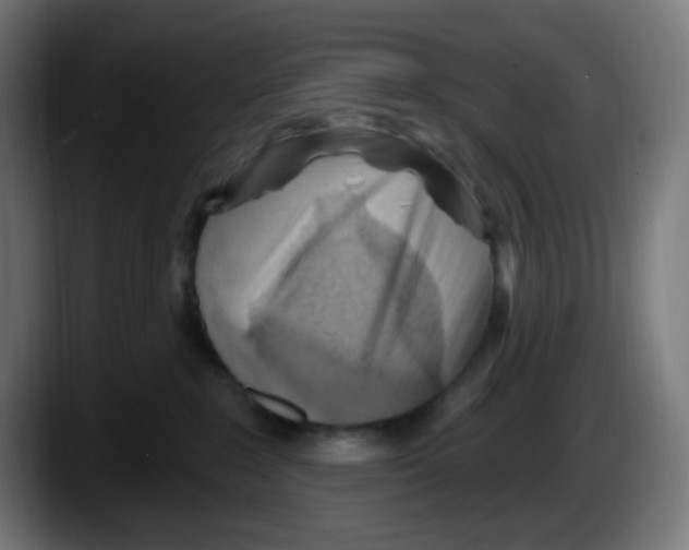 X0000087550235200705251746
