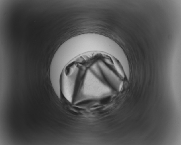 X0000087550237200705251746