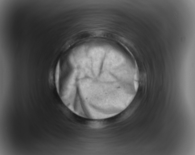 X0000087550238200705251746