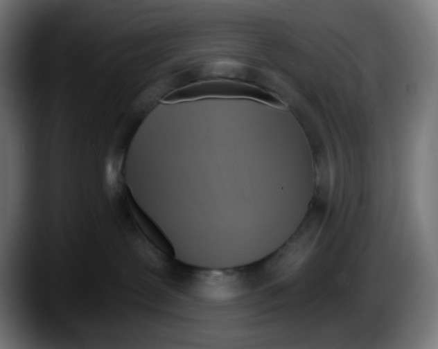 X0000087550239200705251746