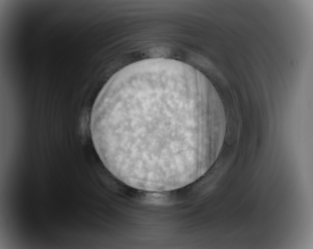 X0000087550240200705251746