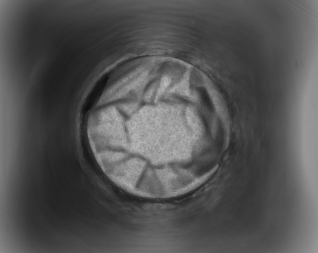 X0000087550242200705251746