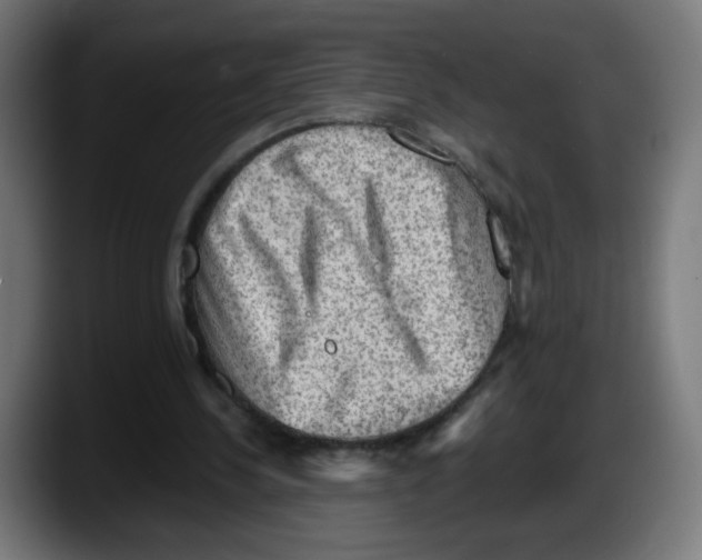 X0000087550244200705251746