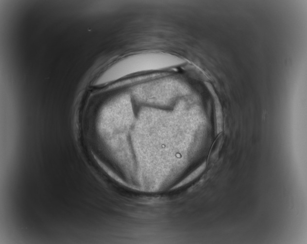 X0000087550245200705251746