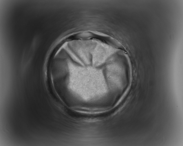 X0000087550246200705251746