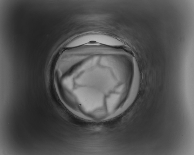 X0000087550247200705251746