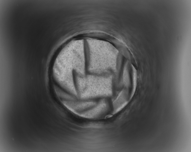 X0000087550248200705251746