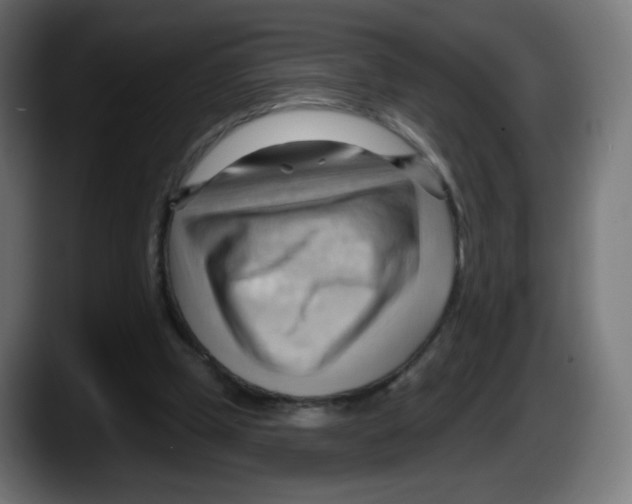 X0000087550249200705251746