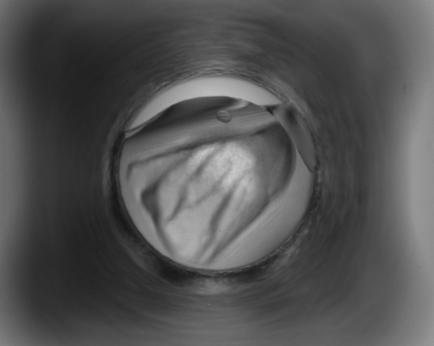 X0000087550250200705251746