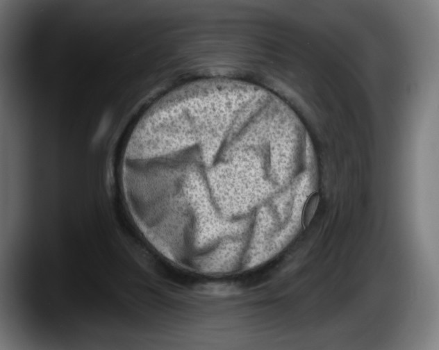 X0000087550251200705251746