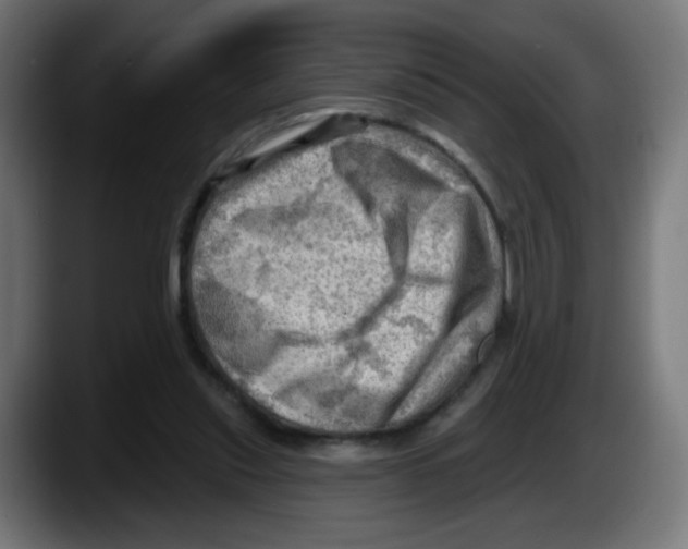 X0000087550253200705251746