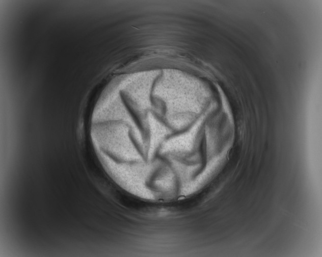 X0000087550254200705251746