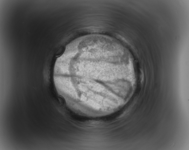 X0000087550255200705251746