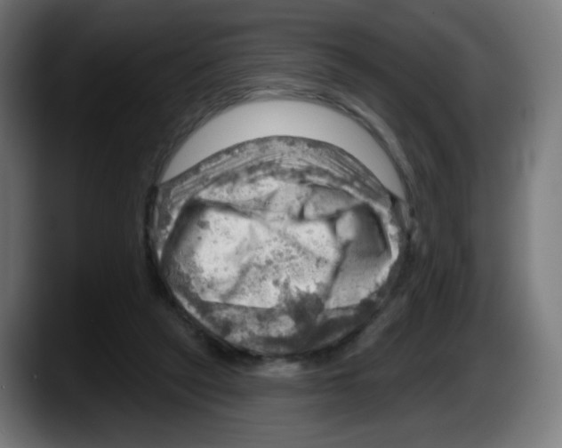X0000087550257200705251746