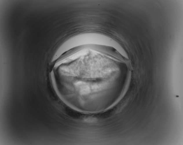 X0000087550258200705251746