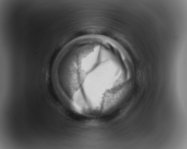 X0000087550259200705251746
