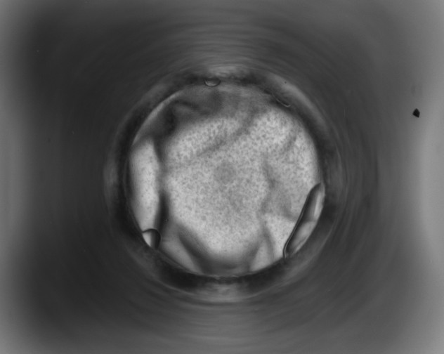 X0000087550260200705251746