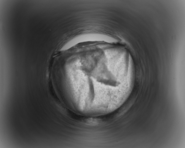 X0000087550261200705251746