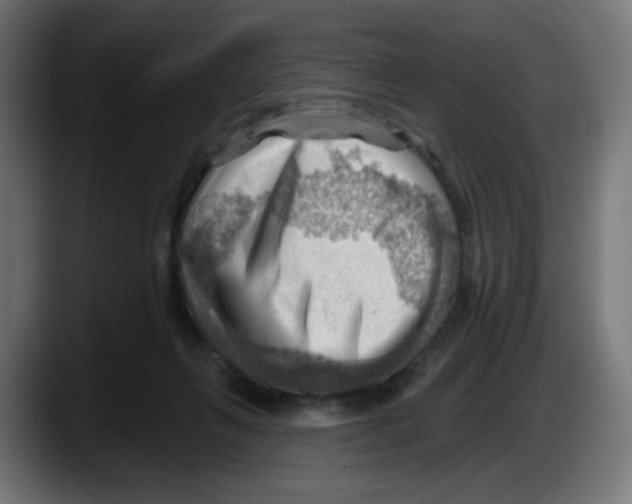X0000087550263200705251746