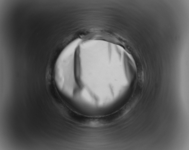 X0000087550264200705251746