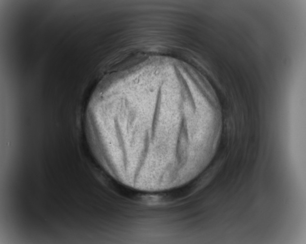 X0000087550265200705251746