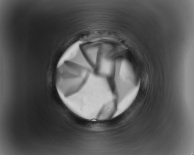 X0000087550268200705251746