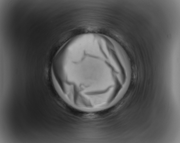 X0000087550269200705251746
