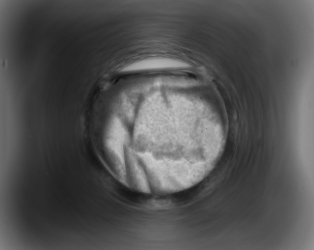 X0000087550270200705251746
