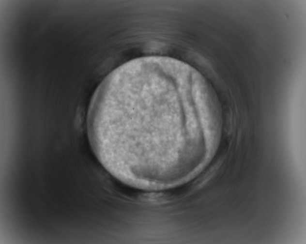 X0000087550273200705251746