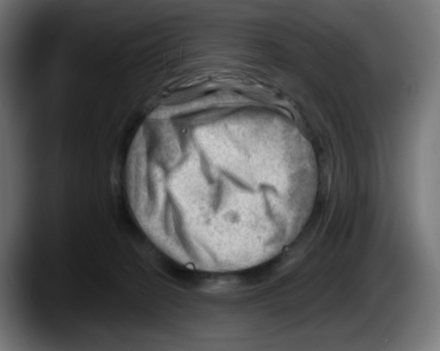 X0000087550274200705251746