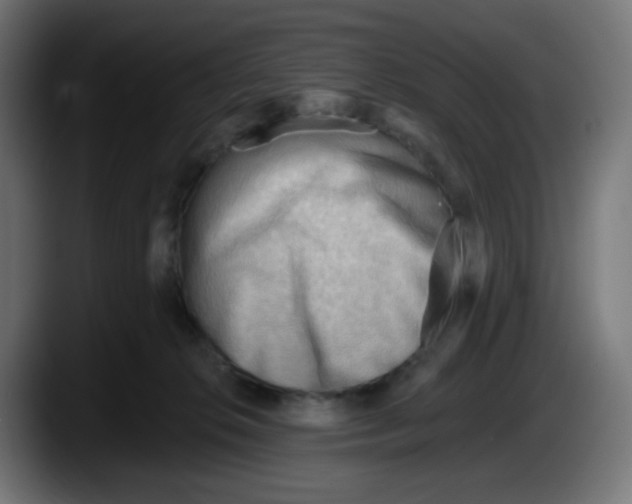 X0000087550276200705251746
