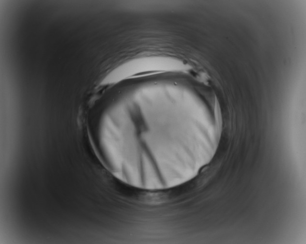 X0000087550277200705251746