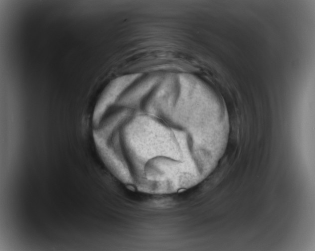 X0000087550278200705251746