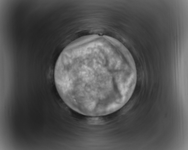 X0000087550281200705251746