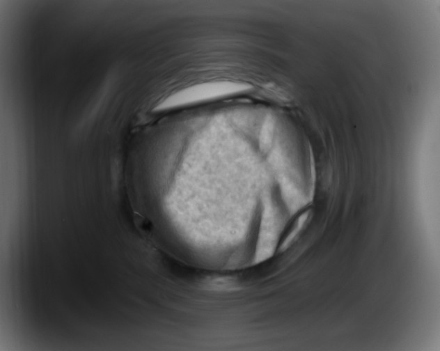 X0000087550283200705251746