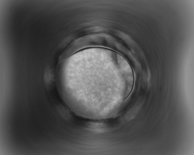 X0000087550284200705251746