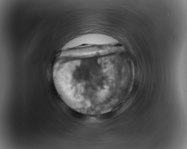 X0000087550285200705251746