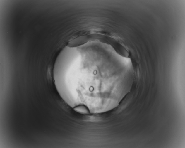 X0000087550286200705251746