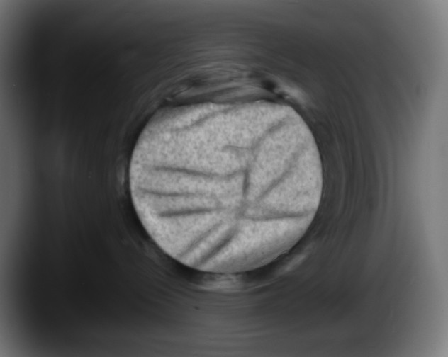 X0000087550288200705251746