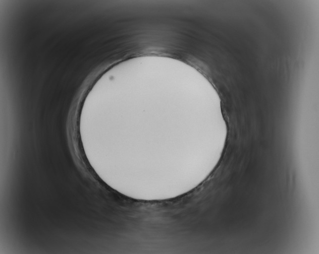 X0000087550289200705251746