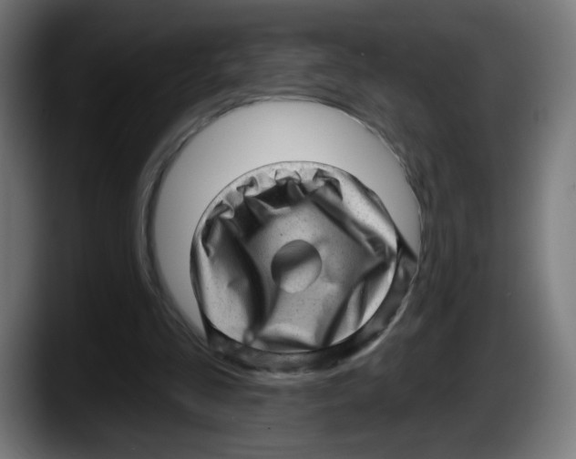 X0000087550293200705251746