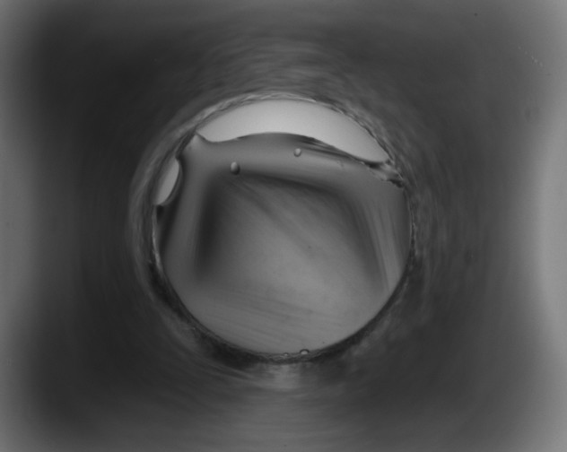 X0000087550295200705251745