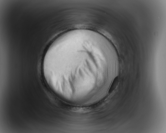 X0000087550297200705251745