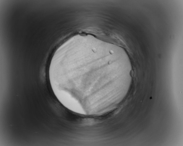 X0000087550298200705251745