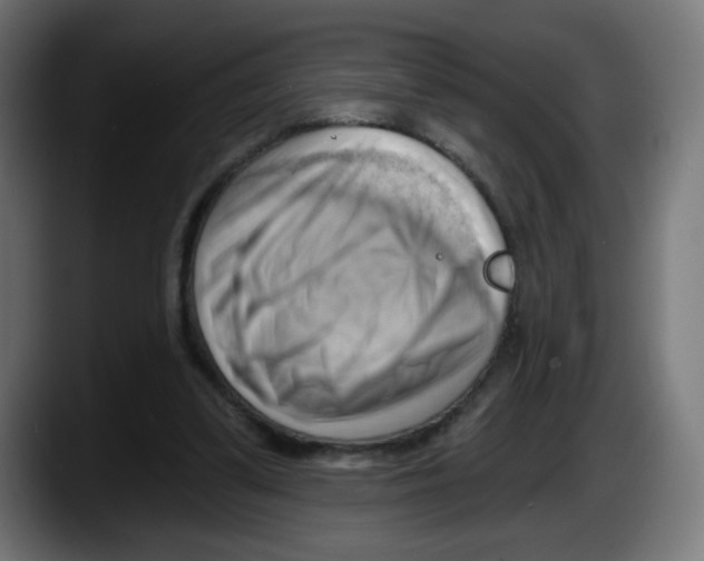 X0000087550299200705251745